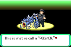 Pokemon CAWPS screenshot 2