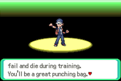 Pokemon CAWPS screenshot 5