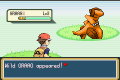 Pokemon Chaos Black screenshot 3