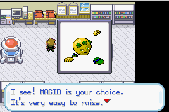 Pokemon Chaos Black screenshot 5