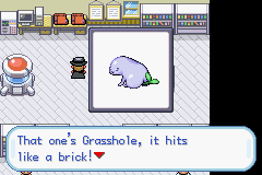 Pokemon Clover screenshot 5