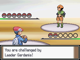 Pokemon Distorted Platinum screenshot 1