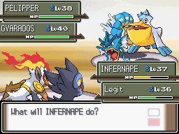 Pokemon Distorted Platinum screenshot 3