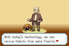 Pokemon Gaia screenshot 3