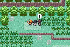 Pokemon Hoenn's Last Wish screenshot 4