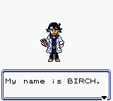 Pokemon XY Naturia screenshot 2