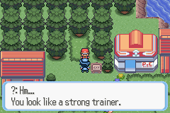 Pokemon Reign of Legends screenshot 5