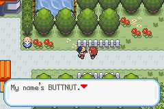 Pokemon Shiny Gold X screenshot 3