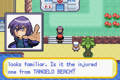 Pokemon Sunset Orange screenshot 4