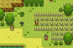 Pokemon Ultra Shiny Gold Sigma screenshot 5