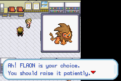 Pokémon Chaos Black screenshot 2