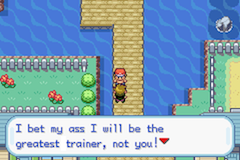 Pokémon My Ass screenshot 2